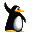 Pingouin Pingoui5